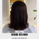 앙드헤어 이미지
