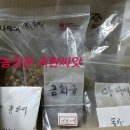 유인숙농장 이미지