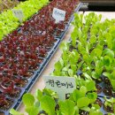 수원종묘농약사 이미지