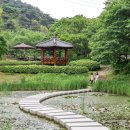 삼선산 수목원 이미지