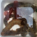 원전항 | 마산 원전항 선상펜션 낚시후기 ..