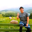 순진목장 이미지