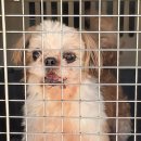 목포원광한방병원 이미지