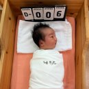 안락샘내과의원 | 대전 서울여성병원 제2 산후조리원 후기 (2주)