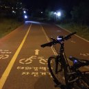 태화강백리자전거길(북측) | 태화강 백리 자전거길 야간 라이딩