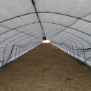 하은이네 농장 이미지