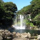 천제연폭포 이미지