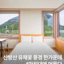 산방산에 펜션 | 산방산 유채꽃 4월 명소 제주 산방산 근처 숙소 가성비 펜션 산방산에머물다 후기