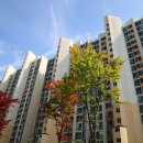 땅사랑공인중개사사무소 이미지