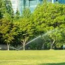 서울숲길 이미지