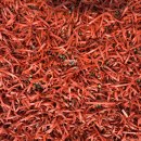 이천시 종합운동장 야구장 이미지