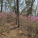 외포스 모텔 이미지