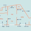 릴리쿰 이미지