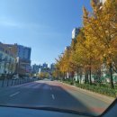 강소아과의원 이미지