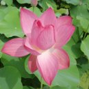 주천중학교 이미지