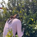 채범석농장 이미지