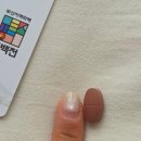 순수여성헬스 | 모먼튼 흡수율 좋은 리포좀멀티비타민 솔직후기