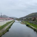 종갓집 칼국수 이미지