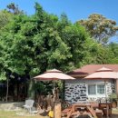 세화 동백그늘 이미지