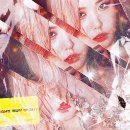 인썬 카카오 검색결과