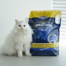 (주)아로펫 이미지