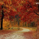 늘편한요양병원 | 연로하신 부모님 위한 강동구 추천 요양원 늘편한요양센터 편안한 노후를 위한 선택