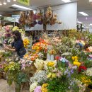 꽃길만걷자6 이미지