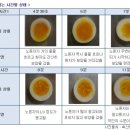 계란 삶을 때의 팁 이미지