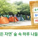 숲속의하루 이미지