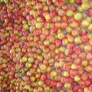 금화농장 이미지