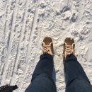 수원-1295 이미지