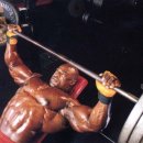 인성 피트니스 이미지