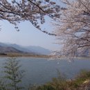 하동문화예술회관 이미지