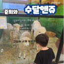봉구의간식권선점 - 2783 | 35개월 아이와 함께 수원동물원 수달앤쥬(동물 종류편)[수원/권선구]