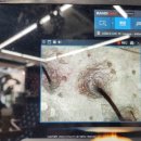 수진약품 이미지