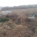 용방면사무소 이미지