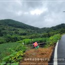 경남고성부동산 토지매매 - 개천면 산골마을 토지 전원주택지매매 3639제곱미터 (1102) 이미지