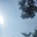 느린여름 이미지