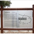 청와삼대 이미지