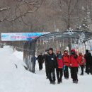 제19회 태백산눈축제의 또다른 멋, 이미지