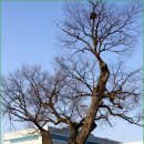 관아공원 이미지