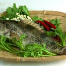 쏘가리네 이미지