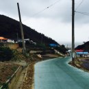 금성민박 이미지