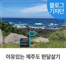 제주일오칠 이미지