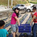 원희농장 이미지