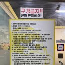 예쁜멍멍이 | [멍멍이다방] 화곡역 아이와 방문하기 좋은 순한 상주견들이 많은 실내 애견카페