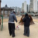 포담 | 인천 애견훈련 실제 후기가 증명하는 포담 강아지 방문훈련