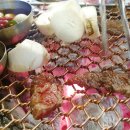 모범갈빗살
