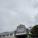 동부코사마트용궁점 | 천리포수목원 근처 점심·카페 코스｜낙지탕은 아쉽고, 피노카페는 힐링! ｜태안동부시장