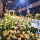 쇼호텔 | 대전웨딩홀 호텔오노마 웨딩 쇼케이스 참석 후기